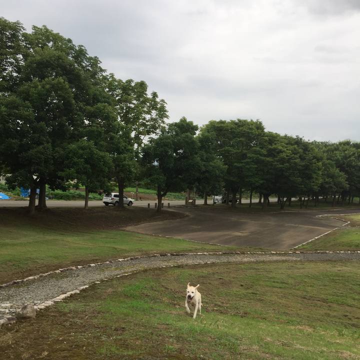 78b7989d 5555 4417 9a1c c1ab1b36cbf6