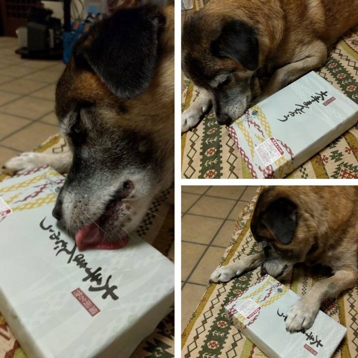 78b7b9df 06ca 4960 bae3 4aee646cc6b6