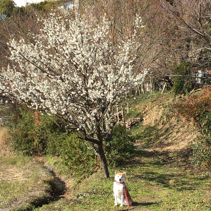 78b7e3c0 878b 4d8d 8b0d 9981e9c70853