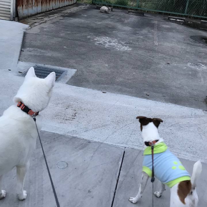 78b87aa8 2905 4917 b645 2cdb4054f73e