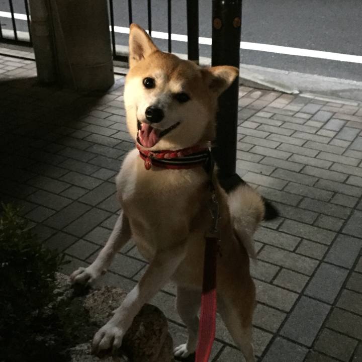 78b8ec14 de9a 4bae a1aa 0d3abf50ecfe