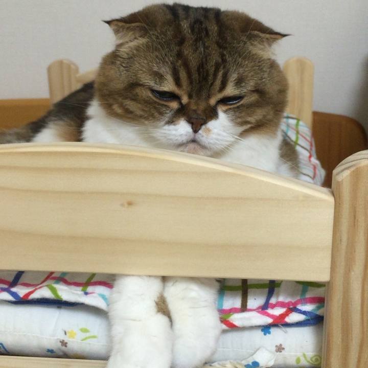 78b981ff 88f3 48ce bd61 4b9bcad3c3d9