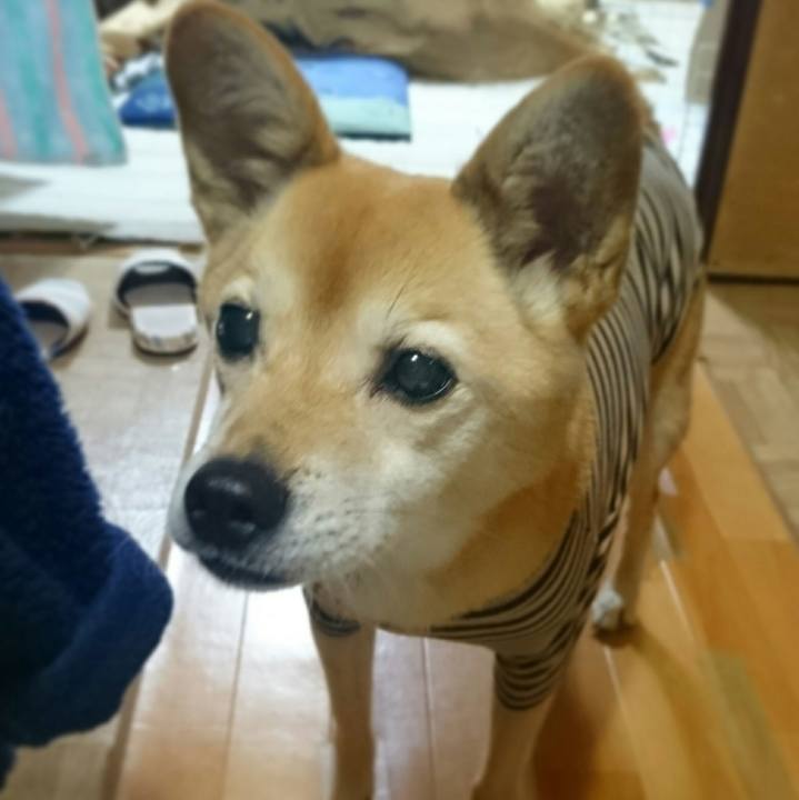 78b9ae23 fba6 48c7 b97b ec7c66a3db19