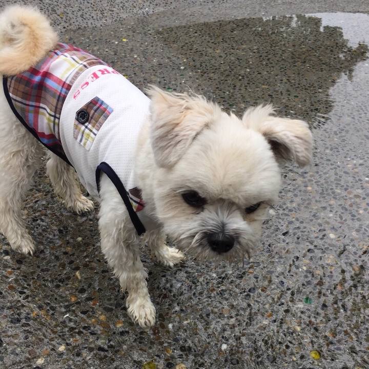 78b9cef5 fde4 41ba b4b9 2100ee1b56dd