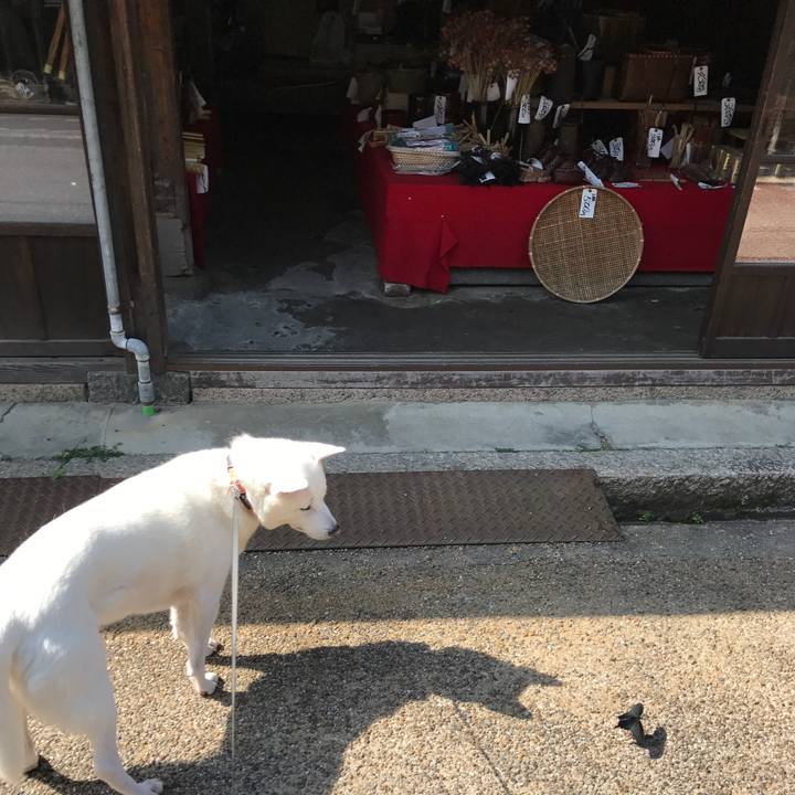 78ba2099 93d9 4262 8d5d d599c37116e1