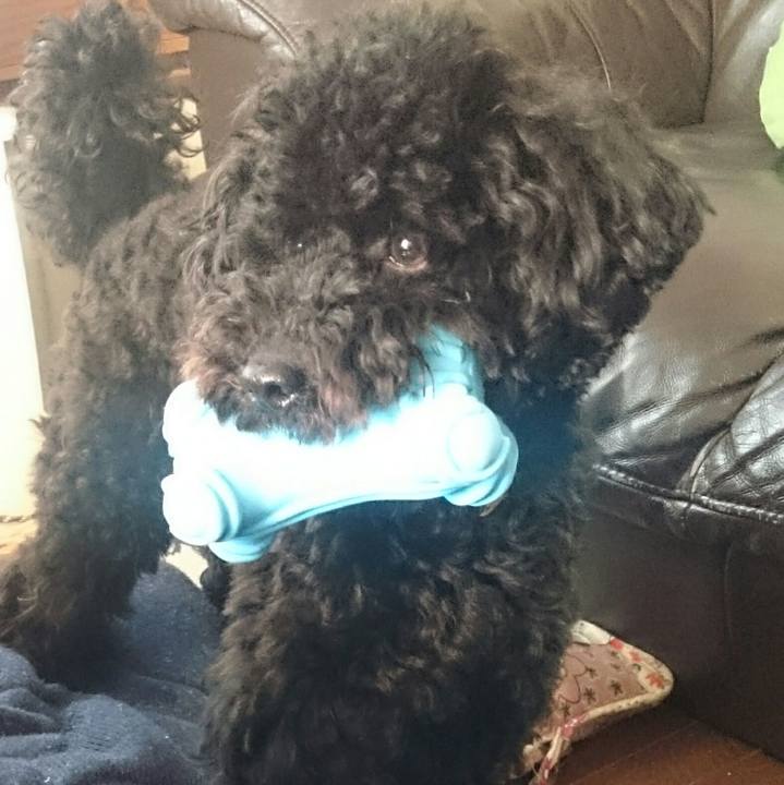 78bb40f6 bde4 4a15 9ca2 3623ede4e9c4