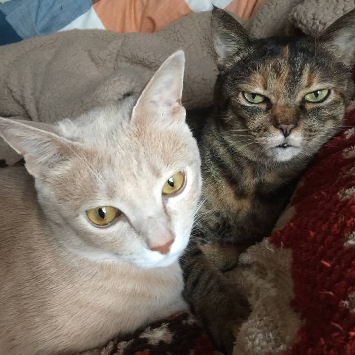 78bb5b07 fcc1 46f7 b01c bbc9ffe07249