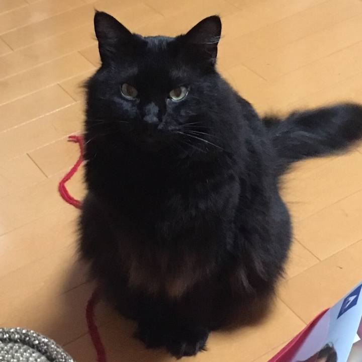 78bb6ae3 681b 48b0 aca2 4061d3fa3aee