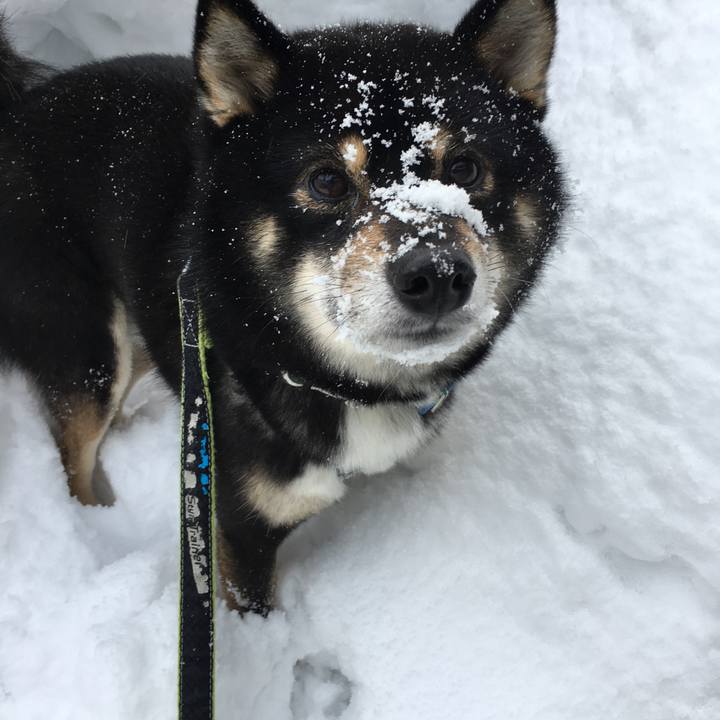 78bca21e 2c0a 418d 8f23 4931bfbeaa81