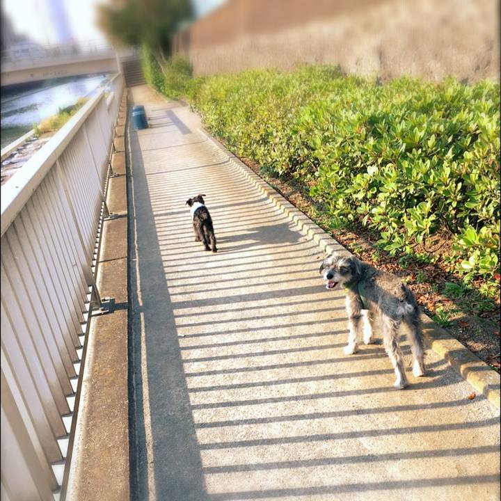 78bca375 a520 42de ba20 62853618ece2