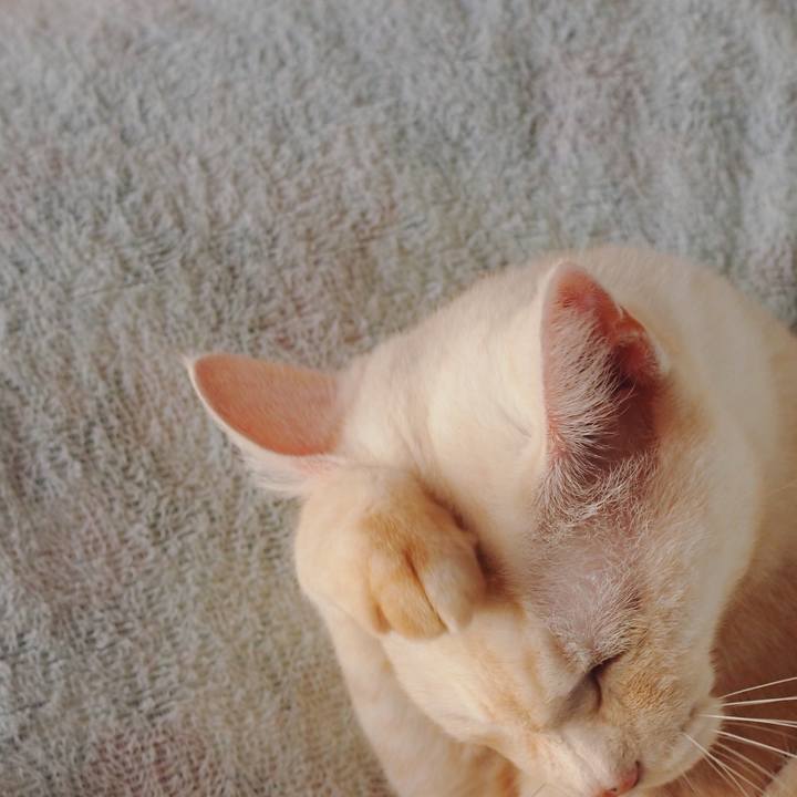 78bd1b12 46e6 4a53 ba8c 0d10c7319fd0