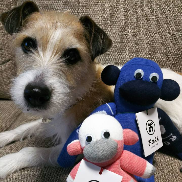 78bd2827 ad25 495d a89e 3b804a22db47