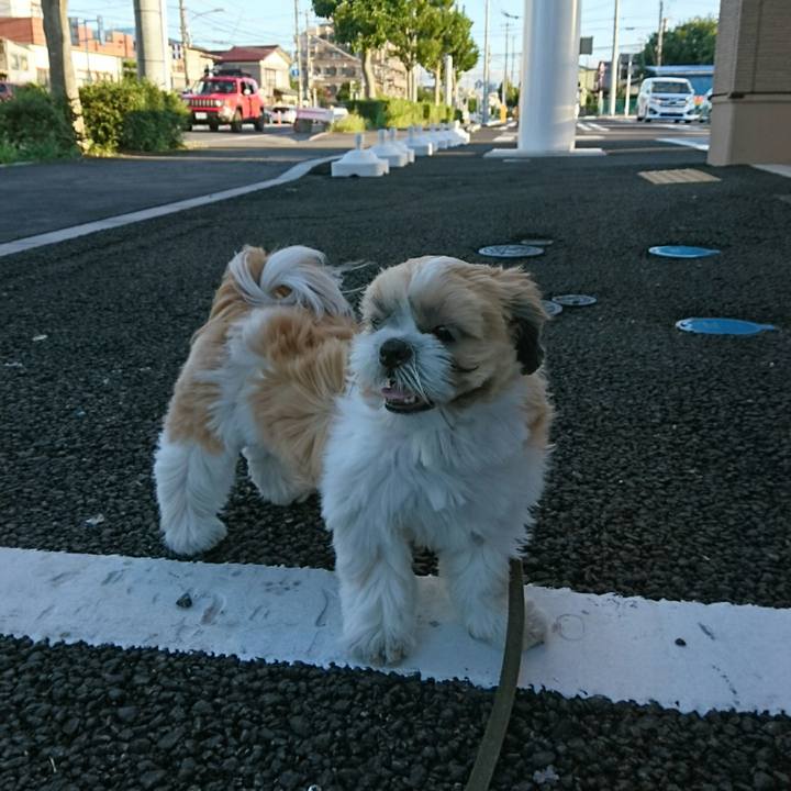 78bd3dd5 df4e 44eb 897c e4a755c7c4fb