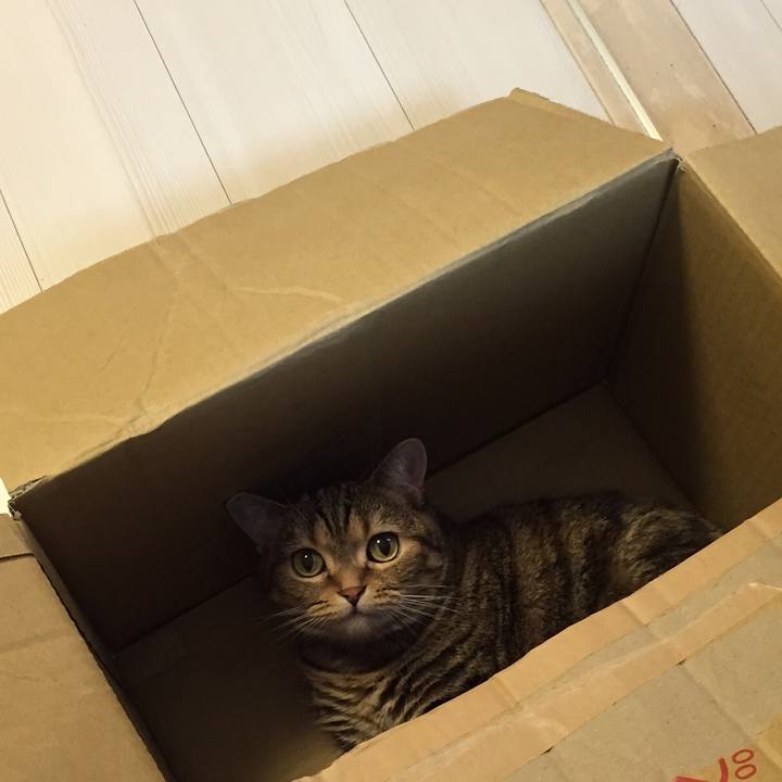 78bd5247 043e 4a29 af83 14177dc74ad8