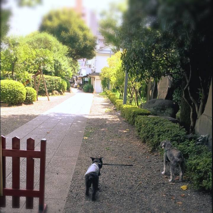 78bdb929 19ea 467d aa1a 7e1e32228d57