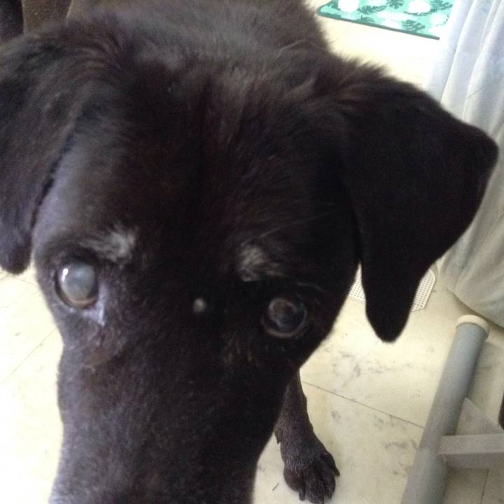 78bea743 a480 47d8 95b4 d6e1edd9adf8