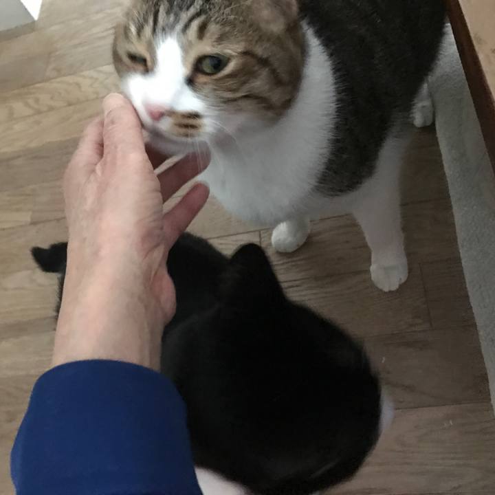 78beb7a5 4241 43d9 a352 d7dea56d171c