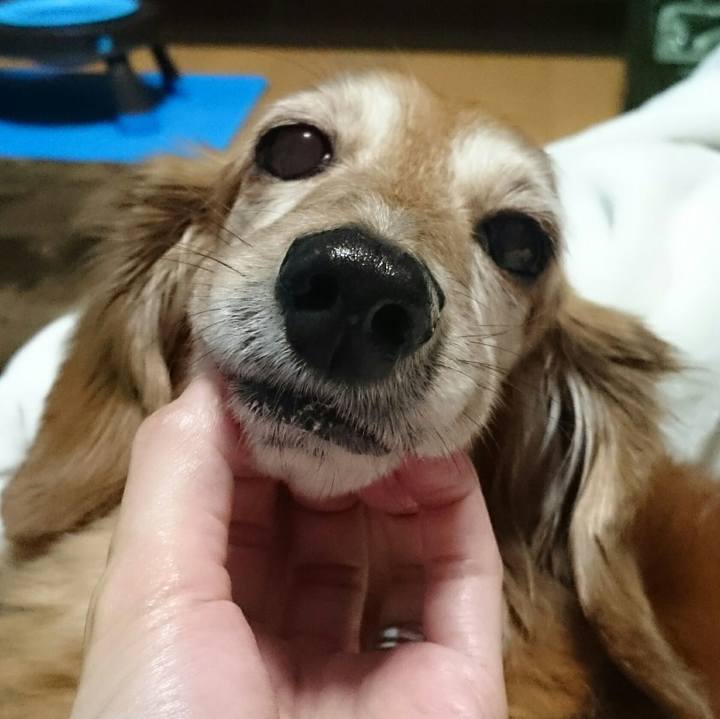 78bee004 eaf9 4691 ad79 837871e0ea98