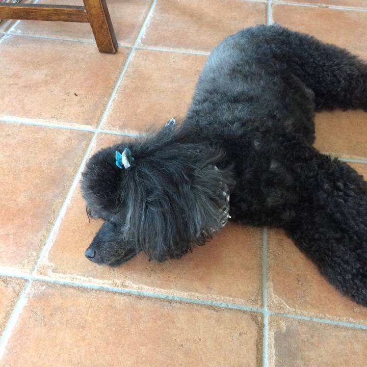 78bfdeb7 9edd 4367 9450 6f3afcf8acc3