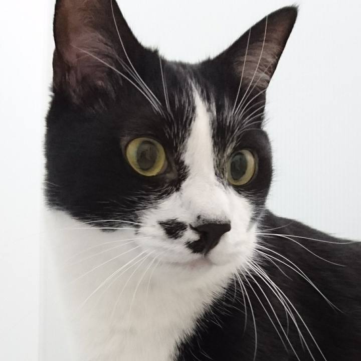 78bffe7f a695 441a 82e1 a44b2d7565d6