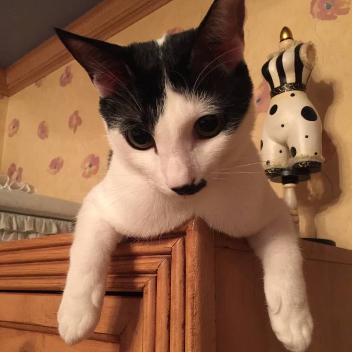 78c112f8 af65 4be0 9df2 036645d0c92f