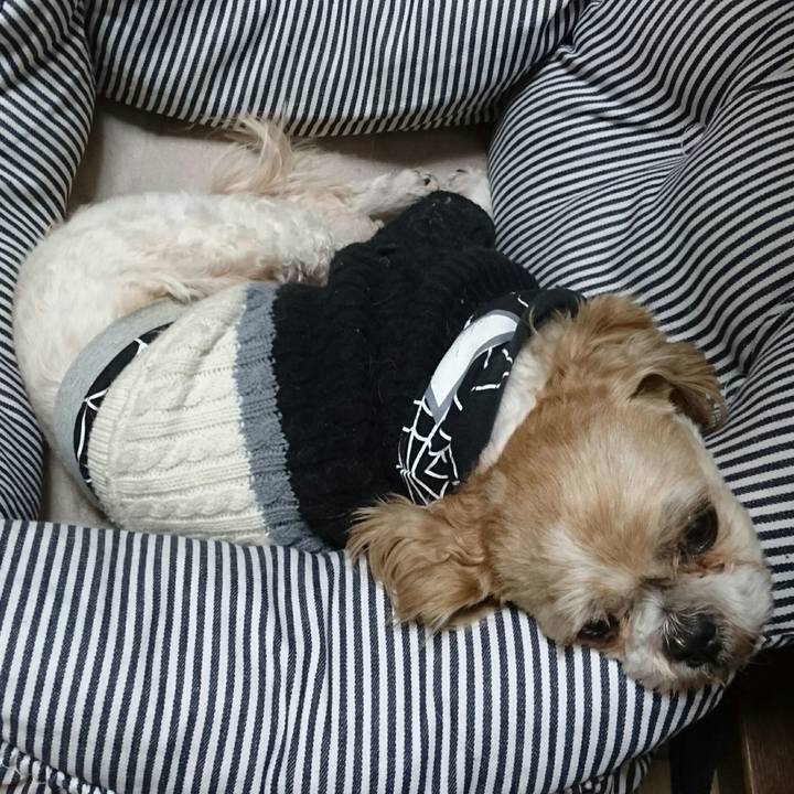 78c147f9 9e3b 4299 b22f 63f106caed20