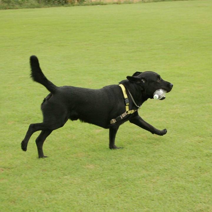 78c241d6 3217 435a 86a0 3d33ac502859