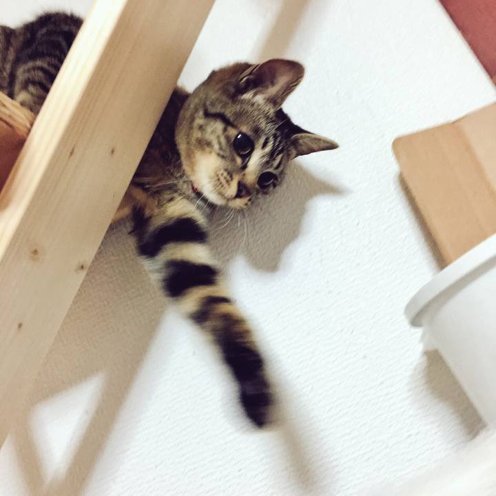 78c28bee 2241 4158 bb1f c7b334a30f19