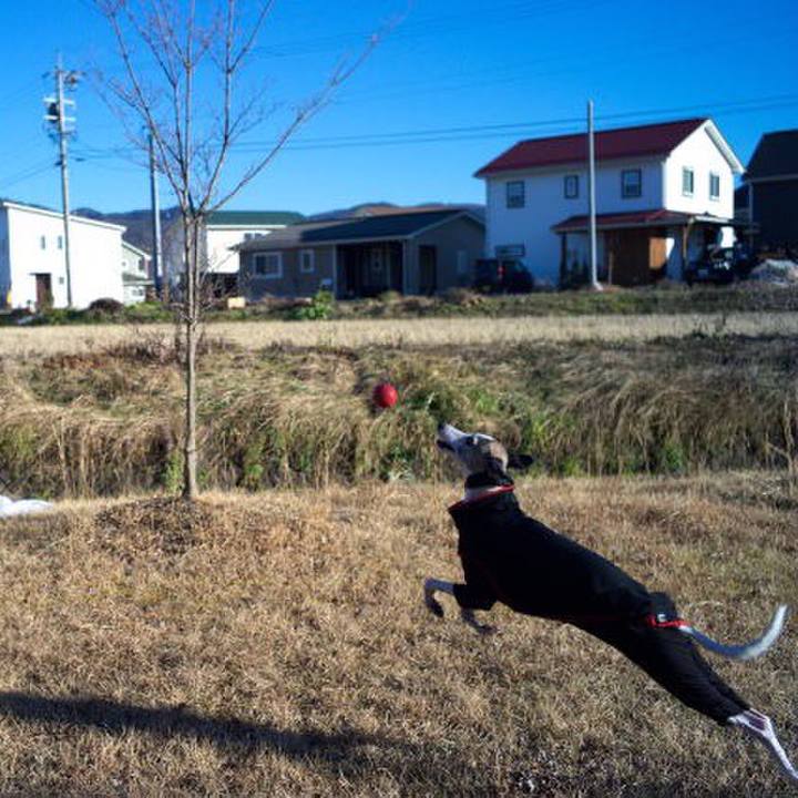 78c31728 1c06 447b 898f e60fb0004d73