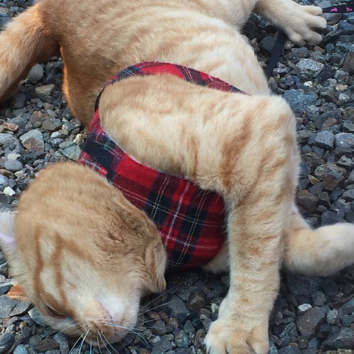 78c325a0 34b7 4e0a 8576 c68b88e7f10d