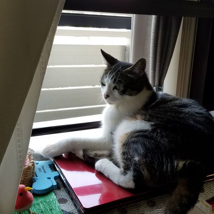 78c364ad cab2 481f 977b e7df7f527875