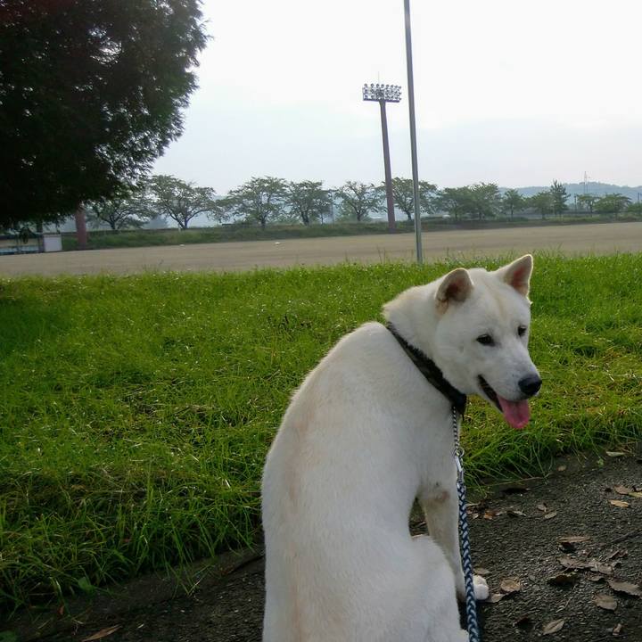 78c43e36 7f26 4236 9fa6 77ba63ab8bcc