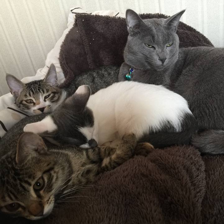 78c4b6bb 0a42 4789 8db6 4edd1da06054