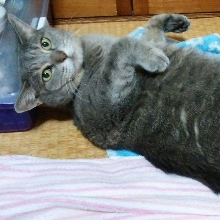 78c4eb41 703f 48fa a776 0540264592be