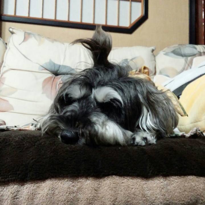 78c4ec24 5a05 42a8 b0a2 845c72d39377