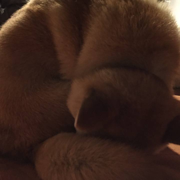 78c5168b 6670 4b88 96c2 f74f3bc500b7