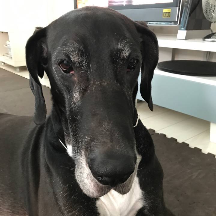 78c5df21 59ce 41d5 a142 19c7df726966