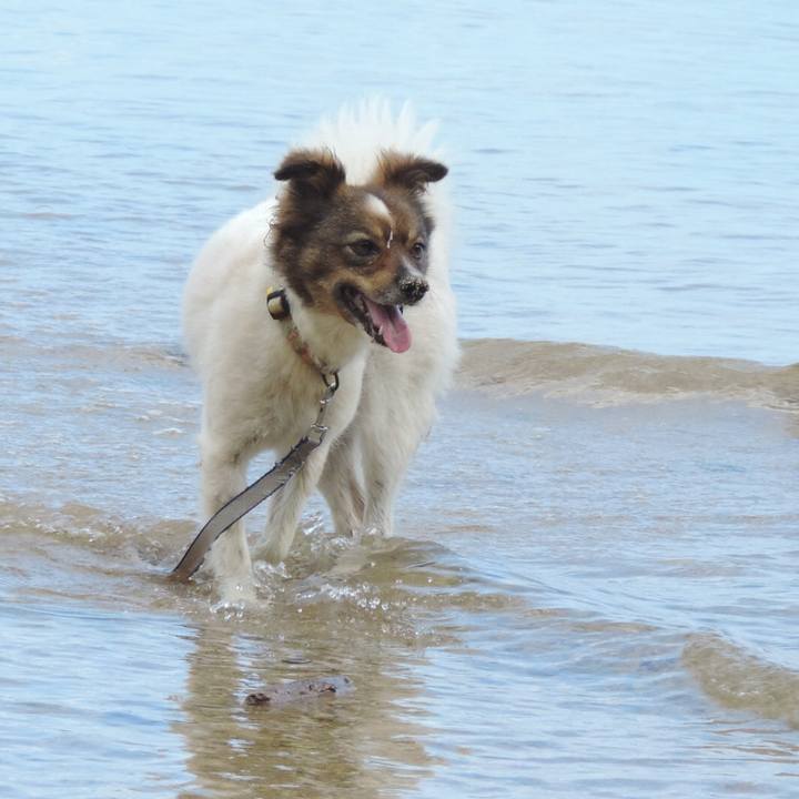 78c6b747 b24d 4f2a 8fba 3bfc3ba53d67