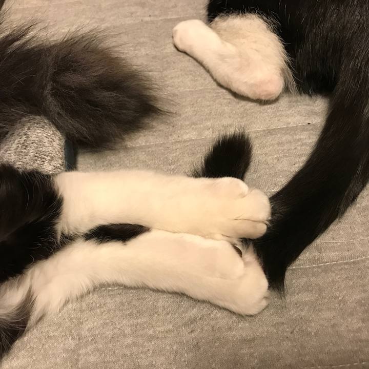 78c6ba2f 09c0 4307 9462 cbf0ada1809a