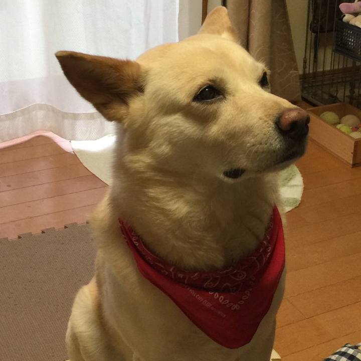 78c6bd31 35b0 40f0 add1 87923c82fb6b