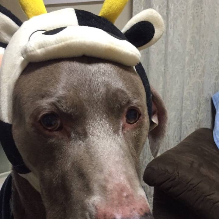 78c72a47 e8fa 4614 90ee 022b11121587