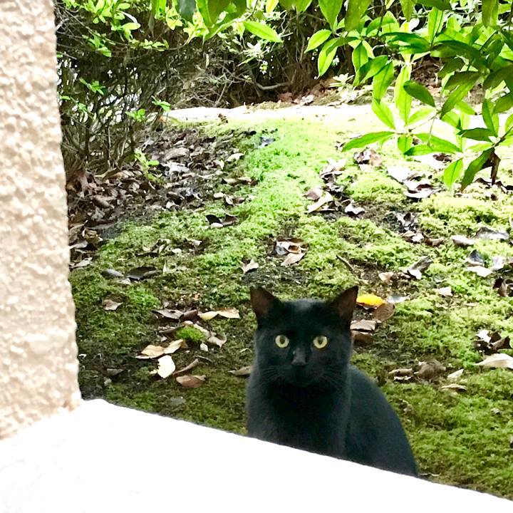 78c76ebf 5108 44c9 a0d2 553f16b49203