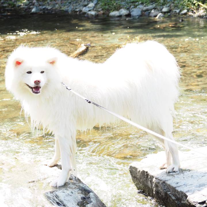 78c82d62 ac85 4ebd 97c2 0c1d1738cb77