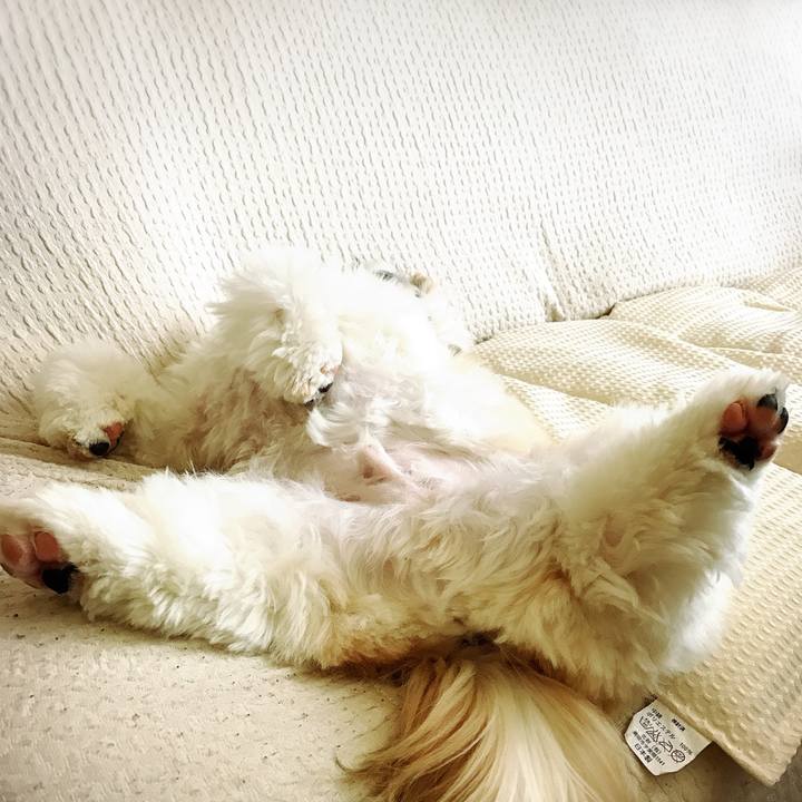 78c86148 1ae1 4a24 96af b1ac2a7ba292