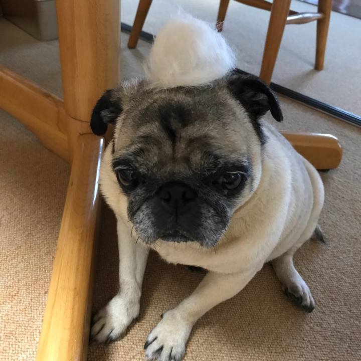 78c88e38 7d08 4f5c 94ab 26fc363adf16