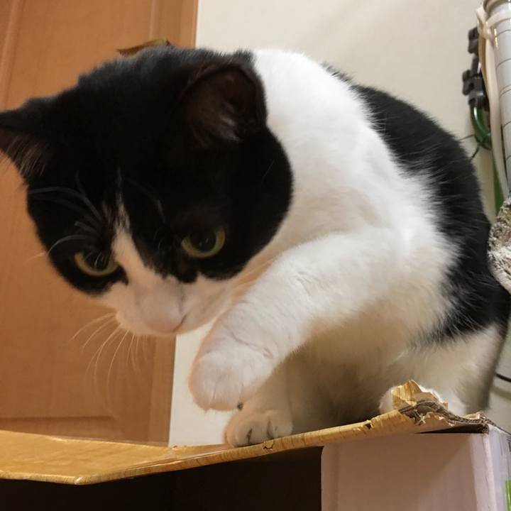 78c904a6 3fb4 4b83 b19a 91090ca3adaf