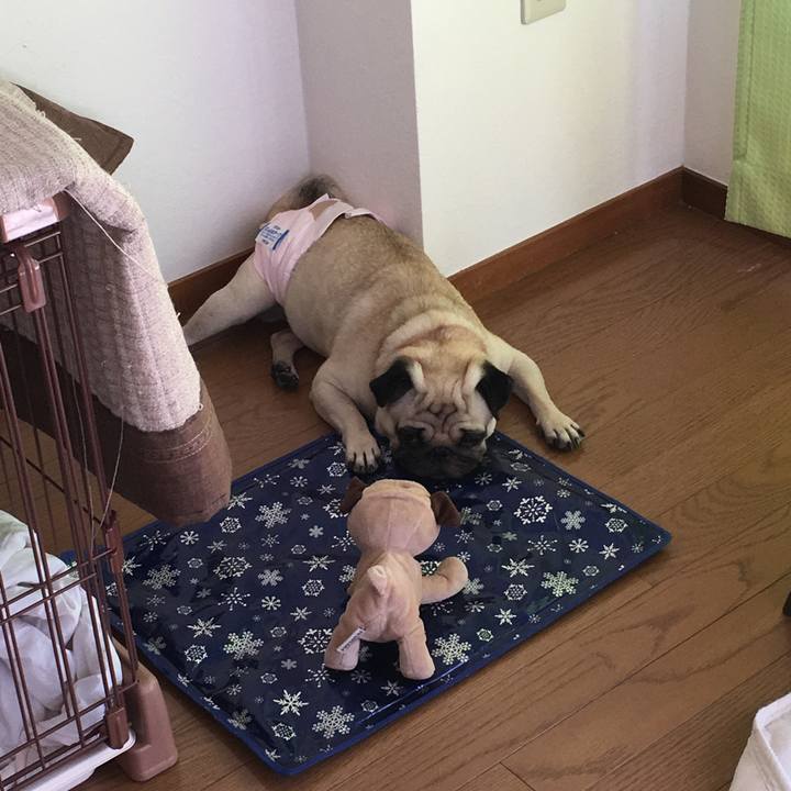 78c9db63 e93c 4ae7 a551 dd9ef8fb5410