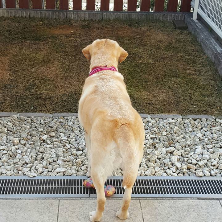 78ca1220 49ae 4c81 a121 15685c2729e5