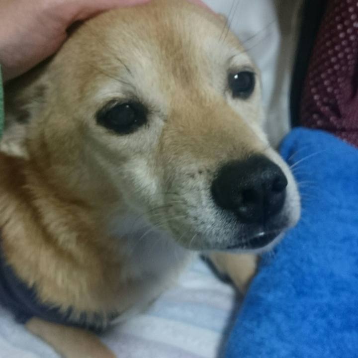 78ca170f 18af 4512 8c0d 4de41cc62256