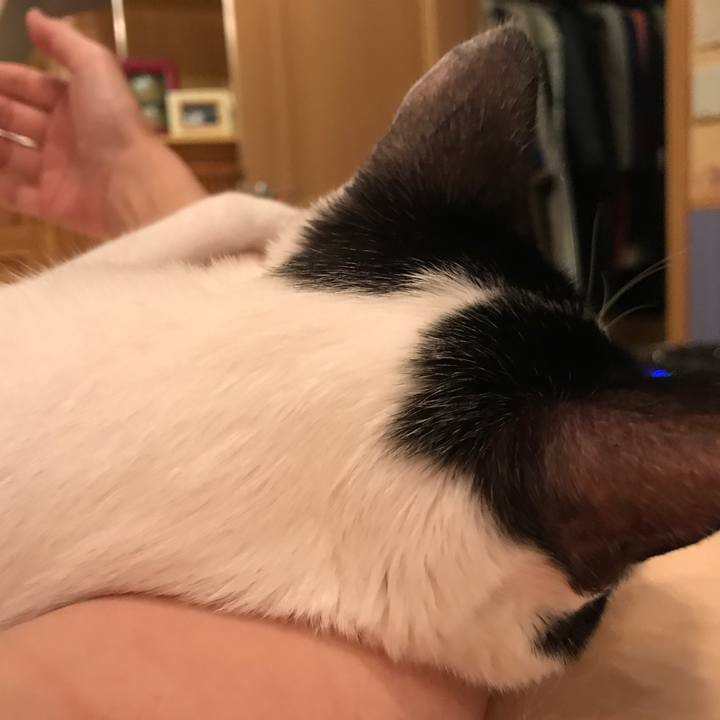 78ca31a5 67a2 416e ba6c b2d6ba9fd622